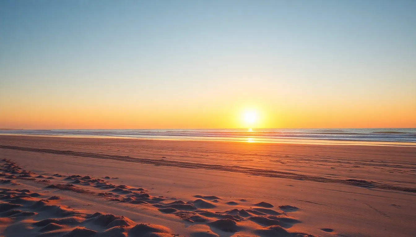 Conclusion: A Cleaner Future