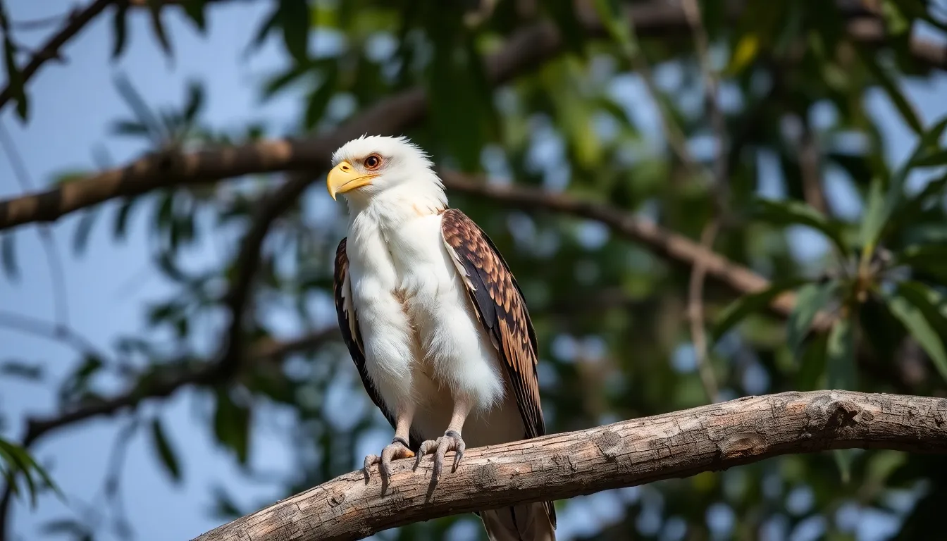 Unique Filipino Animals