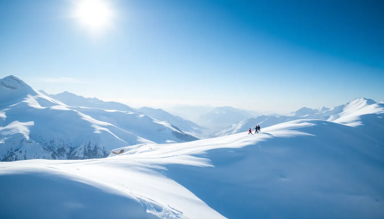 International Alpine Learning Program