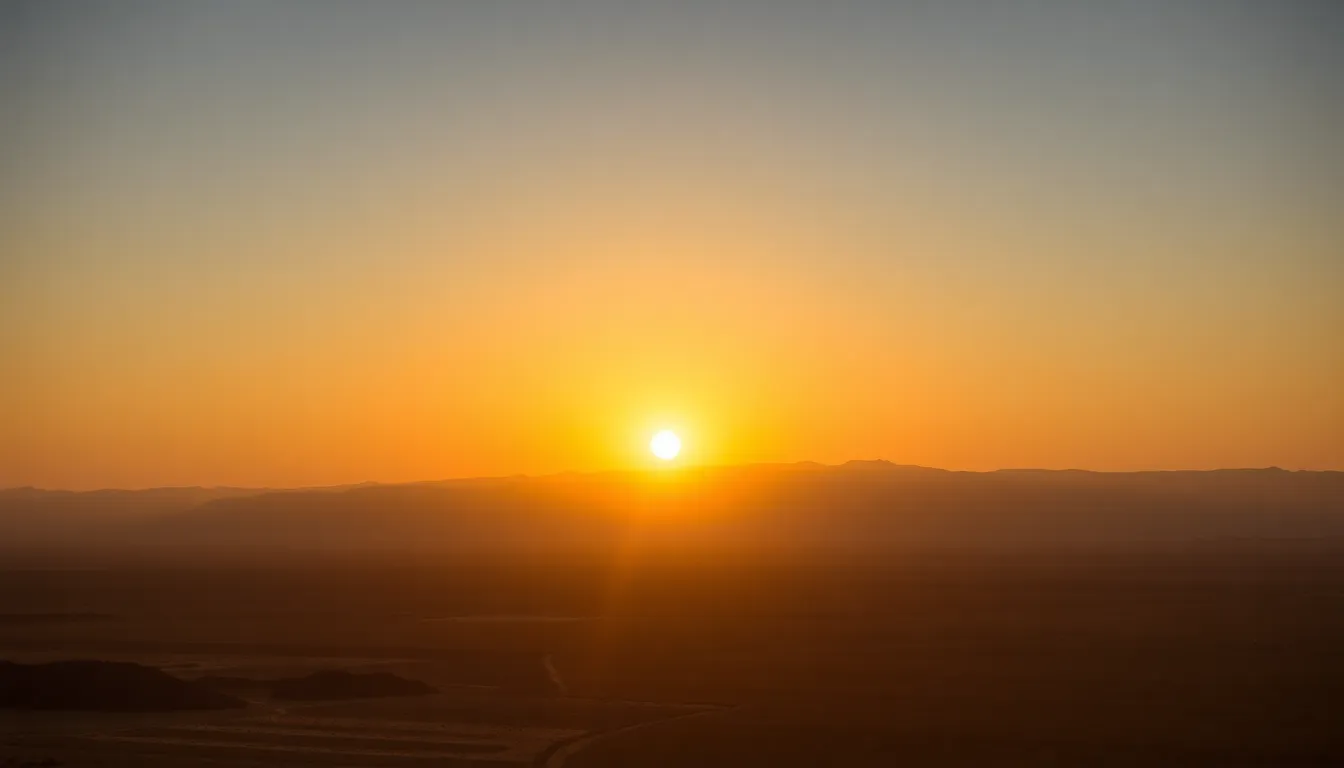 Conclusione e Curiosità