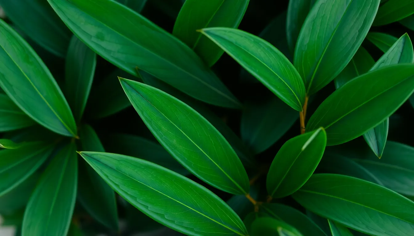 Pharmacognostic Profile Overview