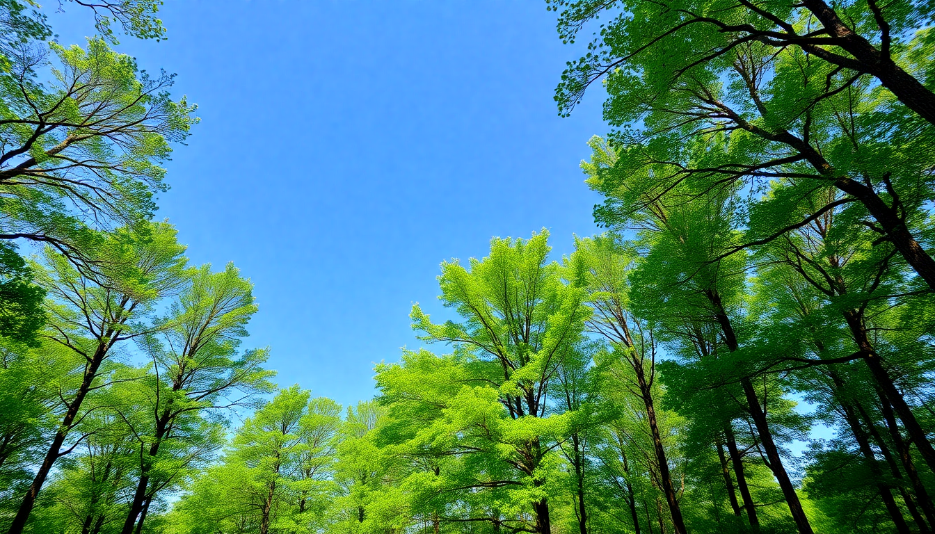 Natural Colors for Community Committees